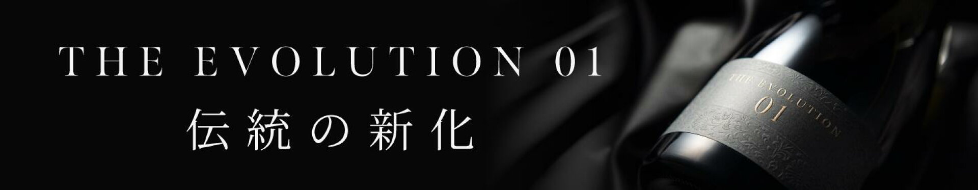 THE EVOLUTION 01