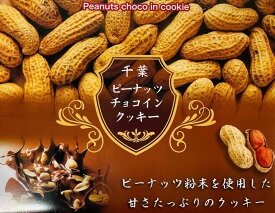 千葉ピーナッツチョコインクッキー　お中元 御中元 お歳暮 御歳暮 ギフト お土産 お菓子 箱菓子 贈り物 菓子折り クッキー 包装 ラッピング のし 手提げ袋