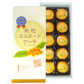 枇杷カスタードケーキ（小）　お中元 御中元 お歳暮 御歳暮 お土産 お菓子 千葉 房総 枇杷 びわ カスタード ギフト 贈り物 包装 のし 手提げ袋