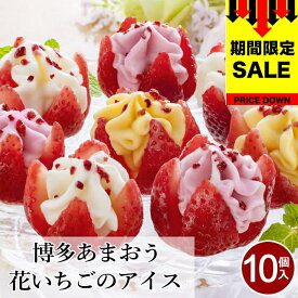 ＼母の日 早割 108円オフ／ ギフト 博多あまおう 花いちごのアイス【10個】母の日 父の日 アイスクリーム ギフト 送料無料 あまおう アイス いちご 女性 洋菓子 詰め合わせ お菓子 贈り物 食べ物 お礼 内祝い スイーツ 【T】