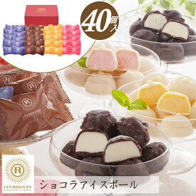 ＼ポイント2倍／アイス アイスクリーム お菓子 ギフト 個包装 大量 大容量 銀座京橋 レ ロジェ エギュスキロール ショコラアイスボール【40個】 チョコレート 大量 【T】バレンタイン 帰省 チョコ チョコレート