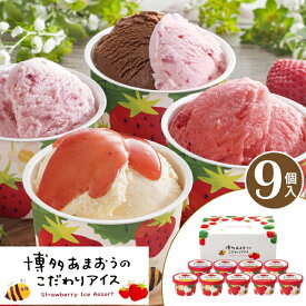 博多あまおう のこだわりアイス 【9個】母の日 父の日 お取り寄せスイーツ ギフト アイスクリーム ギフト スイーツ ギフト送料無料 洋菓子 スイーツ ギフト おしゃれ スイーツ ギフト いちご AH-ABR 【T】