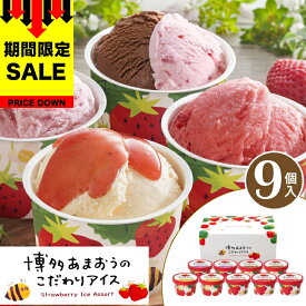 お買い物マラソン SALE対象 母の日 早割 プレゼント スイーツ ギフト 博多あまおう のこだわりアイス 【9個】いちご イチゴ お取り寄せスイーツ ギフト アイスクリーム ギフト スイーツ ギフト送料無料 洋菓子 スイーツ ギフト おしゃれ スイーツ ギフト 父の日 AH-ABR 【T】