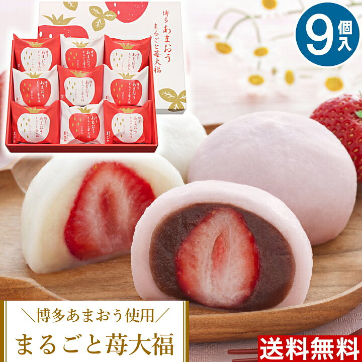 1166円 ふるさと割 京都 養老軒 博多あまおう まるごと苺大福