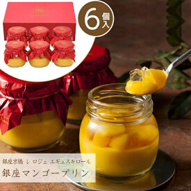 ＼お歳暮 早割 ポイント2倍／スイーツ 送料無料 銀座京橋 レ ロジェ エギュスキロール 銀座マンゴープリン【6個】【O】 御歳暮 冬ギフト 帰省お取り寄せ プリン 洋菓子 ギフト お菓子 マンゴー お礼 お祝い 慶事 お返し 内祝い 贈答品 贈り物 職