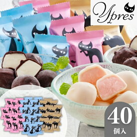 ＼ポイント2倍／お菓子 猫 チョコ アイス ギフト イーペルの猫祭り プチチョコアイス【N】バレンタイン 可愛い お祝い お礼 お返し 内祝い 誕生日 内のし 退職 帰省 差し入れ 出産祝い 結婚祝い 贈り物 贈答