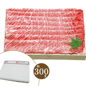 y100~offN[|+|Cg2{zߍ] [XԂԁy300gzyAPz Ε Ε ~Mtg A ߍ] Ԃ Mtg O   j p   v