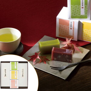 お歳暮 送料無料 絹ごし羊かん(抹茶・小倉)2本・宇治茶セット【APO】御歳暮 冬ギフト 帰省 グルメ 人気 おすすめ ギフト 贈答 取り寄せ お取り寄せグルメ 谷常製菓 絹ごし羊かん 宇治抹茶入