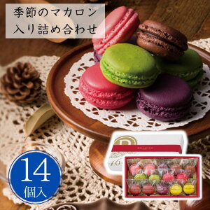 Ε G߂̃}Jlߍ킹(14) yAPOz Ε ~Mtg A O lC  Mtg   񂹃O _C ܂ VR sX^[V Mq 