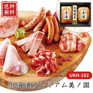 Ε  |Cg10{ n kC v~A m UKH-102 yAPOz Ε ~Mtg A O lC  Mtg   񂹃O zn[Xn z