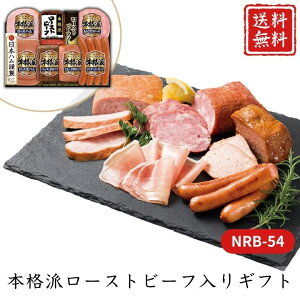 Ε  |Cg10{ {ih[Xgr[tMtg NRB-54 yAPOz Ε ~Mtg A O lC  Mtg   񂹃O {n v[g yY 