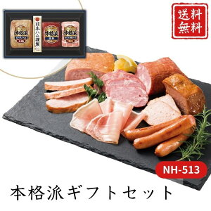 Ε  |Cg10{ n {ihMtgZbg NH-513 yAPOz Ε ~Mtg A O lC  Mtg   񂹃O {n v[g yY  