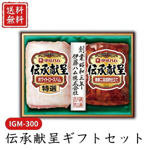 Ε  |Cg10{ n `MtgZbg IGM-300 yAPOz Ε ~Mtg A O lC  Mtg   񂹃O ɓn v[g yY  