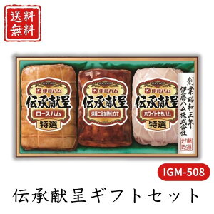 Ε  |Cg10{ n `MtgZbg IGM-508 yAPOz Ε ~Mtg A O lC  Mtg   񂹃O ɓn v[g yY  