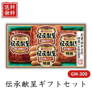 Ε  |Cg10{ n `MtgZbg GM-300 yAPOz Ε ~Mtg A O lC  Mtg   񂹃O ɓn v[g yY  