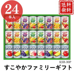 Ε |Cg10{W[X ₩t@~[Mtg KSR-30P yAPOz Ε ~Mtg A O lC  Mtg   񂹃O JS v[g yY  