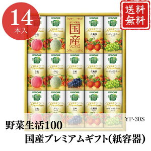 Ε W[X ؐ100 Yv~AMtg(e) YP-30S yAPOz Ε ~Mtg A O lC  Mtg   񂹃O JS v[g yY  