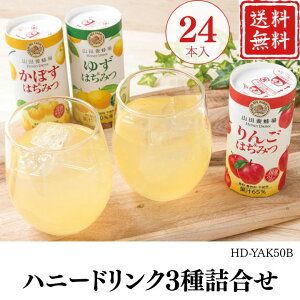 Ε  |Cg10{W[X nj[hN3l HD-YAK50B yAPOz Ε ~Mtg A O lC  Mtg   񂹃O Rc{I v[g 