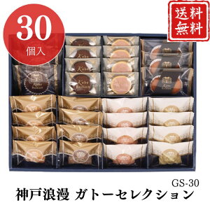 Ε  |Cg10{mَq _˘Q Kg[ZNV GS-30 yAPOz Ε ~Mtg A O lC  Mtg   񂹃O tBiVF `RuE