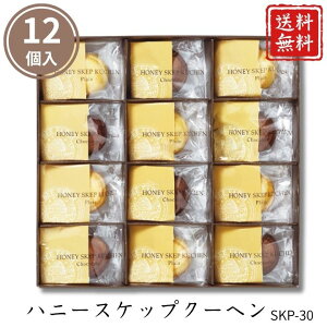 Ε َq |Cg10{mَq oEN[w nj[XPbvN[w SKP-30 yAPOz Ε ~Mtg A O lC  Mtg   񂹃O Rc{I 