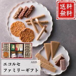 Ε  |Cg10{Mtg Ăَq NbL[ GRZ t@~[Mtg AS25 yAPOz Ε ~Mtg A O lC  Mtg   񂹃O { 