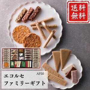 Ε  |Cg10{Mtg Ăَq NbL[ GRZ t@~[Mtg AF50 yAPOz Ε ~Mtg A O lC  Mtg   񂹃O { 