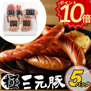 _Ε Mtg |Cg10{^ cq n\[Z[WlZbg y①zΕ A 񂹃O   Mtg j \[Z[W l Y ؓ 蕨 y Mt