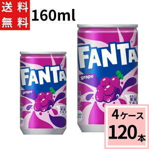 t@^ O[v 160ml  v 120 {i30{×4P[Xj \tghN Y_ t@^ O[v Ԃǂ Y_ W[X ܂Ƃߔ