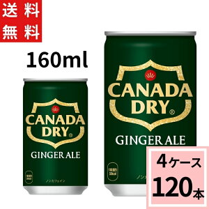 _|Cg10{iő12{j^y10%offN[|zJi_hC WW[G[ 160ml  v 120 {i30{×4P[XjY_ Y_ \[_ W[X Xp[NO ܂Ƃߔ 49021020587