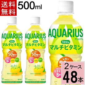 アクエリアス 1日分のマルチビタミン PET 500ml 送料無料 合計 48 本（24本×2ケース）アクエリアス 500ml 48本 アクエリアス ビタミン アクエリアス 500 アクエリアス 500ml ビタミン マルチビタミ