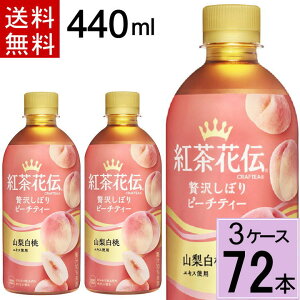 _|Cg10{iő12{j^gԓ`NteB[ ґ򂵂ڂs[`eB[ PET 440mlPET  v 72 {i24{×3P[Xjgԓ` gԓ`NteB[ NteB NteB[s[` 