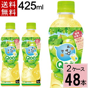 _10%offN[|^~jbc Ch Qoo Ԃǂ 425mlPET v 48{(24{×2P[X)[ uhE N[ Ԃǂ qoo W[X  W[X lߍ킹 W[X  W[X ybg{g