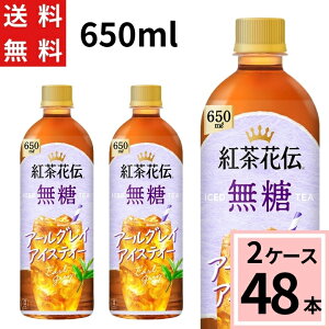 _10%offN[|^gԓ`  A[OC ACXeB[ 650ml PET  v 48 {i24{×2P[Xjgԓ` g ACX eB[ ZC uh ybg{g 4902102157841
