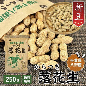_ N[|^2025N tXY Ԑ Vy1܁z250g kt yiJe^JzyHB11zs[ibc L Y 炲 肴 Y F  ͂  XY 100% ₿܂ 