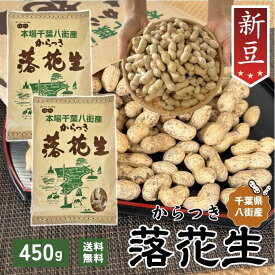 ＼ポイント5倍／千葉 落花生 まとめ買い ナッツ 千葉県 八街産 新豆【2袋セット】当日出荷 450g 殻付き 【ナカテユタカ】ピーナッツ 中手豊【HB宅】国産 皮ごと 煎りざや 無添加 無着色 無塩 はせべ ちば 八街産 100% やちまた ピーナツ