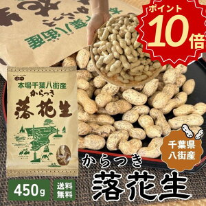 _t Ԑ|Cg10{^t XY Ԑ Vs[ic ibc 2025Ny1܁zo 450g kt yiJe^Jzs[ibc LyHB11zY 炲 肴 Y F 