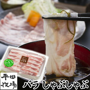 yHzcq O؁yoԂԗp@250g@1.6mmJbgzΕ Ε ~Mtg AȂ񂹃O  񂹃O er Y ؓ p ؓ ؂藎Ƃ 