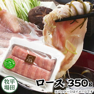 yHzcq O؁y[XԂԗp@350g@1.6mmJbgz Ε Ε ~Mtg AȂ񂹃O  񂹃O er Y ؓ p ؓ ؂藎Ƃ 