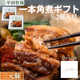 豚 平田牧場 三元豚 一本角煮 【2個入】【常温】お歳暮 御歳暮 冬ギフト 帰省 お取り寄せグルメ ギフト チャーシュー 角煮 惣菜 高級 ギフト お礼 内祝 セット お礼 平田牧場 三元豚 山形 お土産 御祝 お