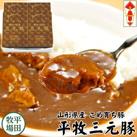 【H常温】平田牧場 コラーゲン入り カレーセット【4個入】父の日 ギフト お取り寄せグルメ 高級 ギフト カレー レトルト 詰め合わせ セット 内祝い カレーギフト ギフト お礼 内祝い ギフトセット 三元豚 vcr18-1