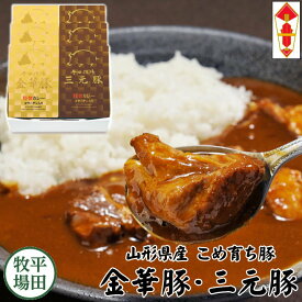 【H常温】平田牧場 コラーゲン入り カレーセット【6個入】父の日 ギフト お取り寄せグルメ 高級 ギフト カレー レトルト 詰め合わせ セット 内祝い カレーギフト ギフト お礼 内祝い ギフトセット 金華豚 三元豚 vcr18-2