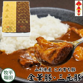 【H常温】平田牧場 コラーゲン入り カレーセット【6個入】母の日 父の日 ギフト お取り寄せグルメ 高級 ギフト カレー レトルト 詰め合わせ セット 内祝い カレーギフト ギフト お礼 内祝い ギフトセット 金華豚 三元豚 vcr18-2