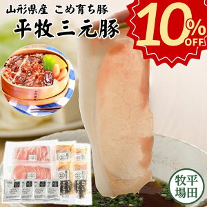 _yVX[p[Z[ Ε 100~offN[|^ cq O Ԃ  XЂ yⓀz  Ȃ Ε ~Mtg A Mtg񂹃O er  O y 