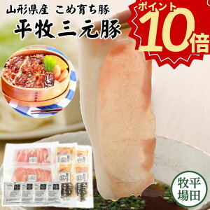 _Ε Mtg |Cg10{^ cq O Ԃ  XЂ yⓀzΕ A Mtg񂹃O er  O y  j 蕨 Hו Mtg 