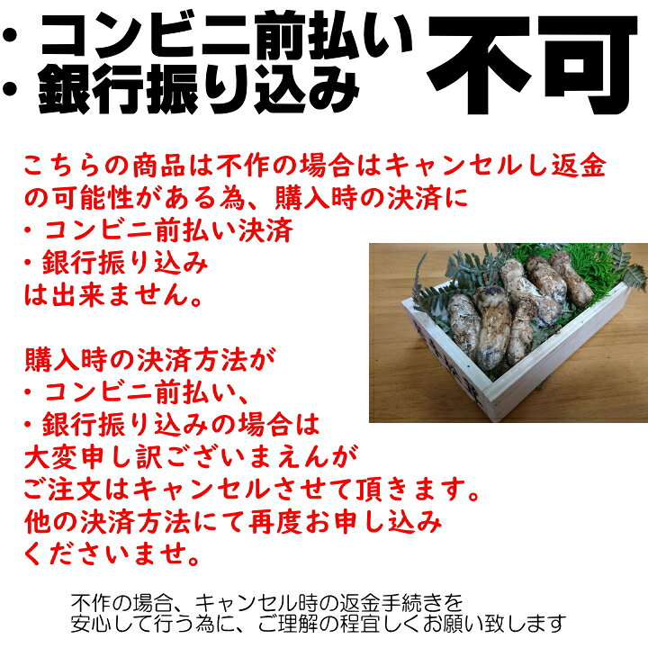 楽天市場】2024年 岩手県産 松茸 100g 【極上】 高級 天然 まつたけ 