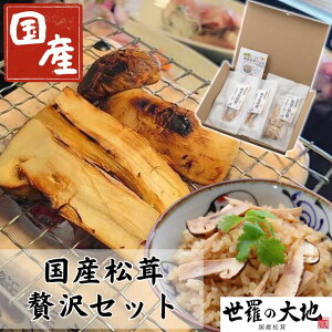 ���Y �Ⓚ ���� ���Y�����ґ�Z�b�g �Ă����� �������͂� �܂��� ���܂� �܂��� �ڂ� �����̑�n�y23bk�z