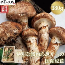 楽天市場】松茸 ヒラキ 国産の通販