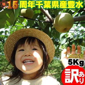 L 5Kgy󂠂zy2Lz 2025 ̗ Ȃ ʕ Mtg  v[g ق hV̓ p  t̗ iV Yn  Y tY t j  j oYj 