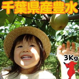 �L�� 3kg�y5L�z�䒆�� �� ��6�� ���� �G�i 2026 ���̗� �Ȃ� ��t���̗� �i�V �Y�n���� ������ �h�V�̓� �ʕ� �M�t�g �v���[���g �Y�� ��t���Y ���j ��� ��j �o�Y�j �t���[�c �o�ח� �L�� 