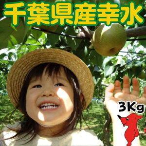 �K�� 3kg�y3L�z��8�� �� 2026 ������ ������ ���� �G�i �Ȃ� ��t���̗� �i�V �Y�n���� ������ �{ �ʕ� �M�t�g �������� �v���[���g ����p �Y�� �K�� ��t���Y ��t�� ���j ��� ��j �o�Y�j 